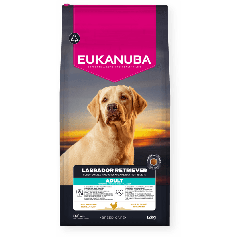 Breed Specific Labrador Retriever Adult with Fresh Chicken